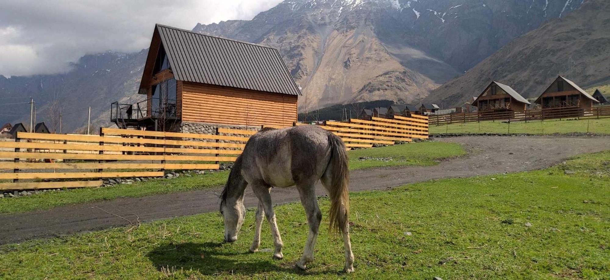 Traveler'S Cottages In Kazbegi المظهر الخارجي الصورة